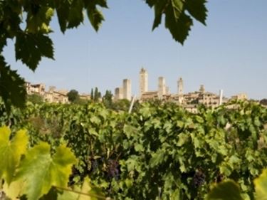 Il Panorama di San Gimignano e i suoi vigneti