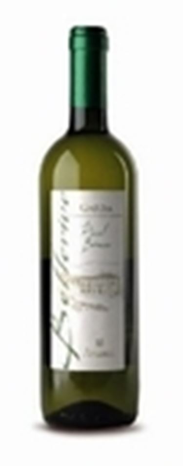 Il Garda Pinot Bianco