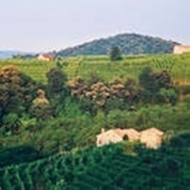 Le terre del Prosecco