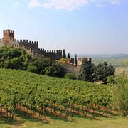 Soave e i suoi vigneti