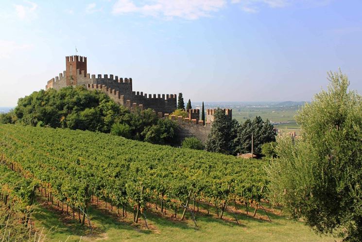 Soave e i suoi vigneti