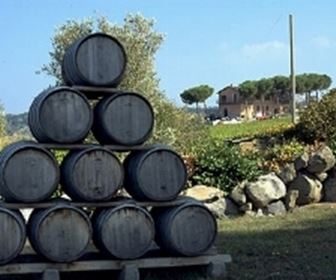 Vino rosso lazio