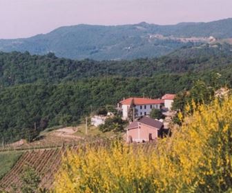 Vino rosso piemontese