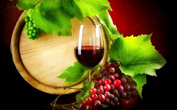 un bicchiere di vino contiene mediamente 100 kcal