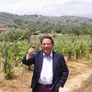 Le vigne del Cilento