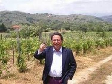 Le vigne del Cilento