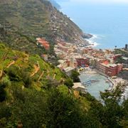 Vigneti terrazzati sulla riviera