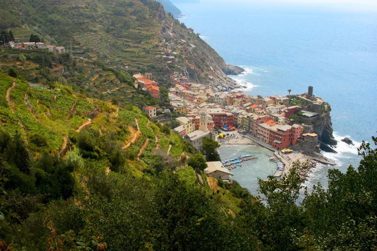 Vigneti terrazzati sulla riviera