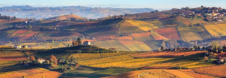 Le Langhe