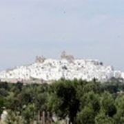 una veduta della bianca Ostuni