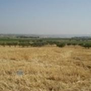 La campagna nei dintorni di Sciacca