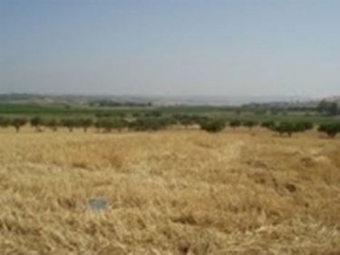 La campagna nei dintorni di Sciacca