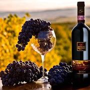 Una bottiglia di brunello di Montalcino