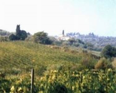 Carmignano 2