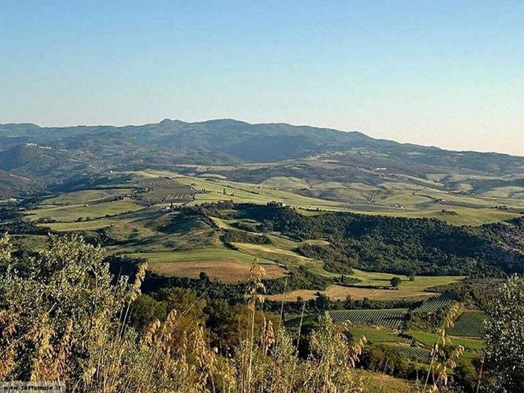 paesaggio1