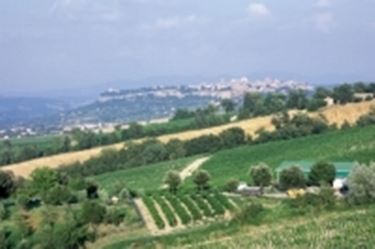 Scorci panoramici della zona