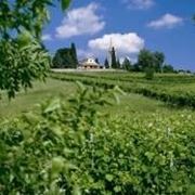 colli di conegliano 