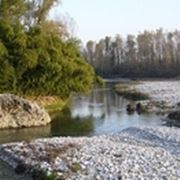 piave 