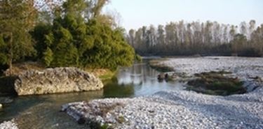 piave 